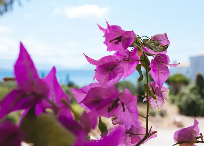 Ξενοδοχείο Ionio